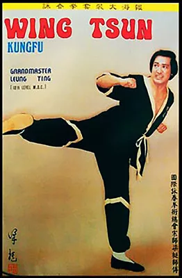  Leung Ting Co Hong Kong Wing TSUN Kungfu (5 Poster Pack) • $49.95