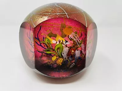 Mayauel Ward 2008 Stunning Underwater Magnum Paperweight • $850