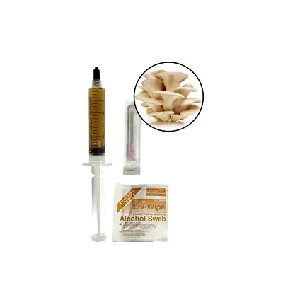 Mushroom Experts Liquid Culture 10ML Syringe - Tan Oyster Mushroom (Pleurotus Er • $14.95