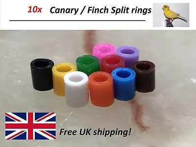 10 Bird Split Rings 10 Colours For Canary /Finch Etc 2.8mm • £3.49