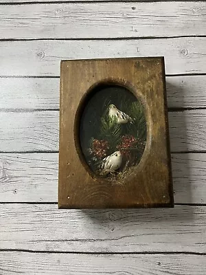 Vintage Live Finch Scene Taxidermy-Inspired Piece By Santa Fe Spring CA Artist • $116