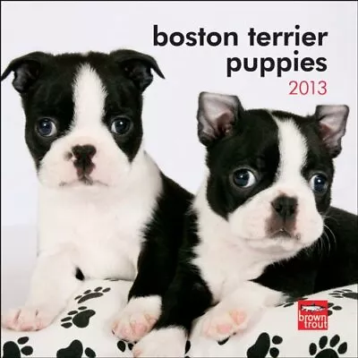 Boston Terrier Puppies 2013 7X7 Mini Wall Calendar • $11.99