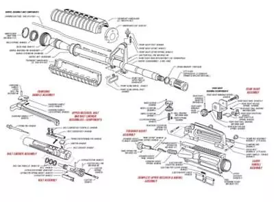 AR15 PARTS DIAGRAM LIST COMPONENTS POSTER PICTURE PHOTO PRINT M16 M4 Rifle 5955 • $11.99