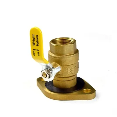 1  Threaded Isolator Valve W/ Rotating Flange W/ Pump Gasket & T-Handle • $33.95