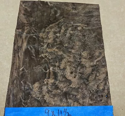 Walnut Burl Wood Veneer 9  X 11  Raw No Backing 1/42  Thickness AA+ Grade • $45