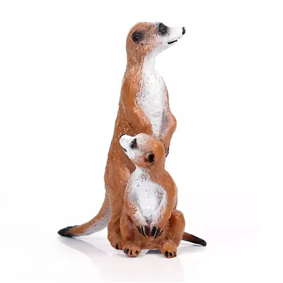 Meerkat Suricate Africa Wild Animal Figure Model Toy Collector Decor Kid Gift • $5.98