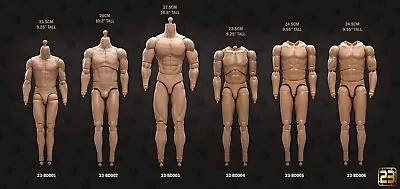 23Toys 1/6 Muscular Male Action Figure Body For 12  Hot Toy Phicen Head • $34.99