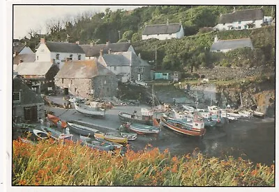 🌞 CADGWITH COVE CORNWALL.  (#a380) • £0.99