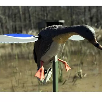 Mojo Outdoors Baby MOJO Mallard® Spinning Wing Decoy (Drake) • $79.99