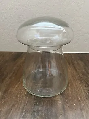 VTG Clear Glass 6  Mushroom Terrarium Apothecary Storage Jar W/ Bubble Top Lid  • $24.95