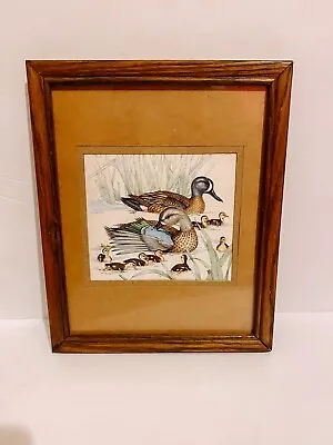 Vintage Framed & Matted Bird Wildlife Art Duck Mallard & Duckling Signed Print • $14