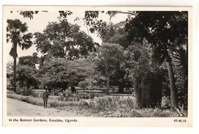 C1960 Real Photo PC: In The Botanic Gardens – Entebbe Uganda • £9.59