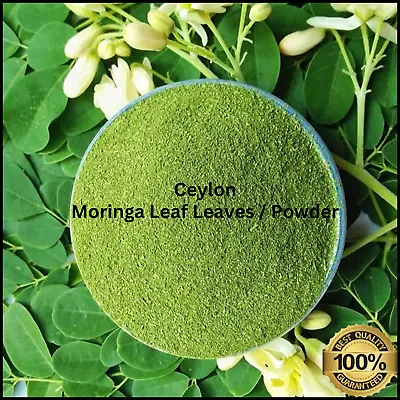 Moringa Oleifera Dried Leaf Leaves/Powder Natural Organic Pure Ceylon Herbal Tea • $10.99