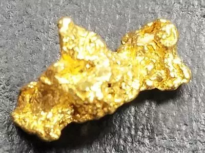 1 Gold Nugget | 1.63 Grams | Free Shipping | 1.63 Grams [ Alaska Yukon ] • $34