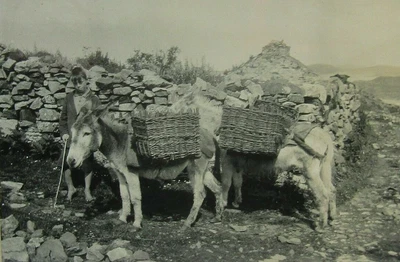£6.93 • Buy 1933 Scouts Jamboree, Hungary - Magic Lantern Slide - Hungarian Boy With Donkeys