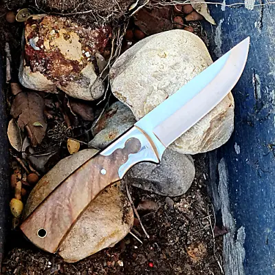 New Fixed Blade Knife Large Bowie Camping Hunting Survival Full Tang Sharp Knife • $42.99