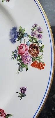 8 Minton English Dinner Plates Dresden Floral Blue Band W Gilt Gold Rim 10 Inch • $115