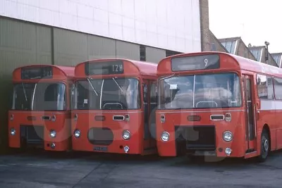 Bus Photo - East Yorkshire 839 PKH839G Withdrawn Leyland Panther Cub & Others • £1.19