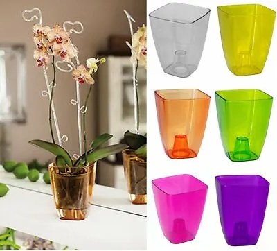 £3.99 • Buy Plant Orchid Pot Plastic 8 Colours Gloss Oval Planter Transparent Clear 12 Cm