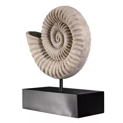 Prehistoric Ammonite Fossil Sculpture Museum Replica Reproduction • $109