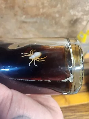 VINTAGE Royal Crown RC Cola Error Spider Bottled Inside Full 1 Pint Oddity Read • $33.33
