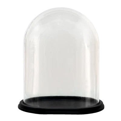 £49.99 • Buy Glass Display Cloche Bell Jar Dome OVAL Flower Preservation Vase 33cm Taxidermy