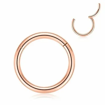 Stainless Steel Segment Hinged Clicker Ear Nose Body Ring Lip Hoop Piercing 1PC • $6.08