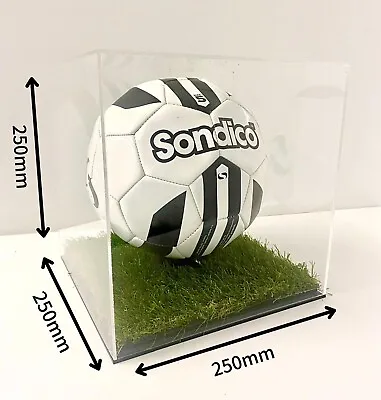 Football Display Case With Grass • $88.29