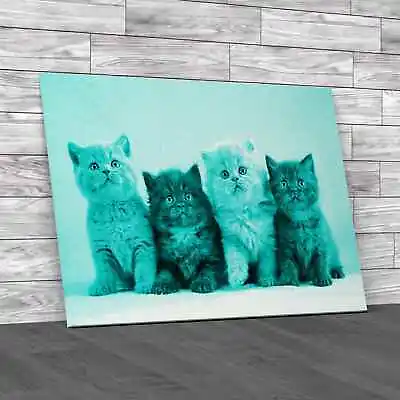 Say No To These Kittens Teal Canvas Print Large Picture Wall Art • £14.95
