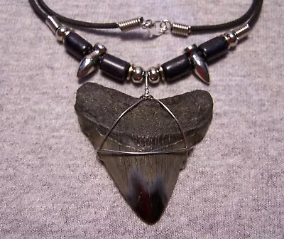 Megalodon Shark Tooth Necklace 2  Sharks Teeth Large Fossil Jaw Scuba Diver • $25