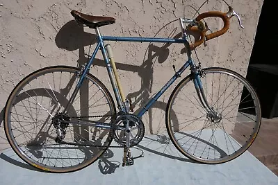 Raleigh Professional Vintage Men’s Road Racer 12 Speed Campy 60cm Reynolds 531 • $777.77