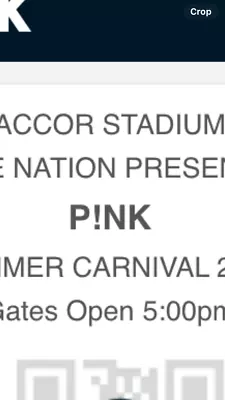 Pink Concert Tickets • $350