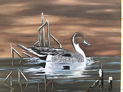 Northern Pintail Duck Painting On Canvas Original • $200