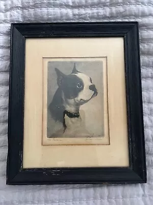 1930 Morgan Dennis Pencil Signed Etching Print Boston Terrier The Bostonian RARE • $145