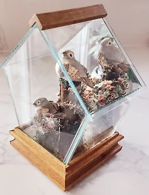 Mushroom Bird Terrarium House Removable Roof Glass Enclosed Mirrored Back • $39.95