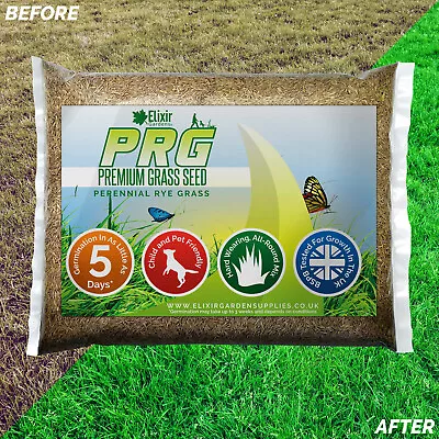 Patch Repair Lawn Recovery Premium Grass Seed | 100g-10kg | Covers Up To 285 Sqm • £4.49