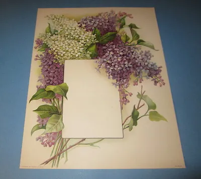 Old Vintage 1910 Antique VICTORIAN PRINT LILAC FLOWERS W Frame For Menu Or Photo • $12.99