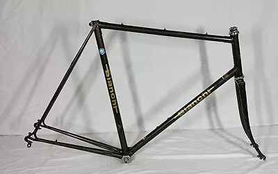 Vintage ~ 1980 Bianchi Nuovo Racing 12/V  61.5 CM  Steel Lugged Bicycle Frameset • $79