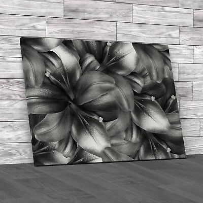 Discover Exquisite Lily Flowers Bright Floral Black White Canvas Print Large • £14.95