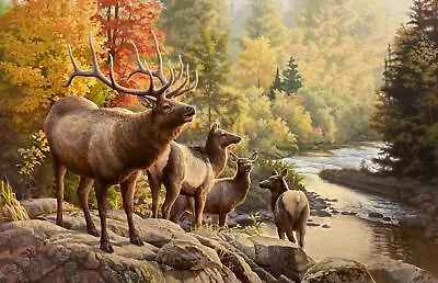 Greg Alexander River Walk S/N PP  Elk Art Print 22 X 15 • $125