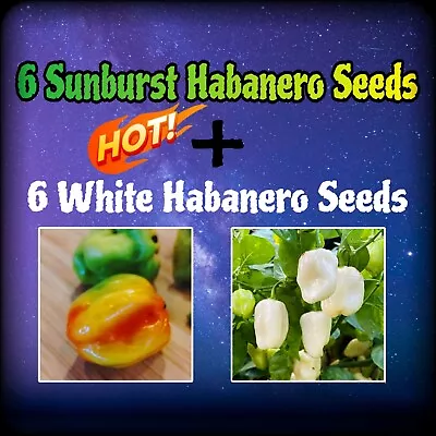 Sunburst Habanero + White Habanero (6 Seeds Of Each) + Free Bonus Seeds 🔥🔥🔥 • $3.50