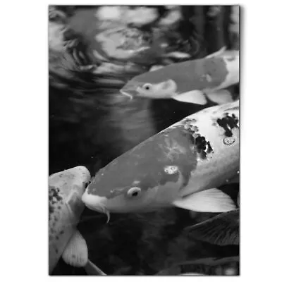 A1 - BW - Koi Carp Pond Fish Japanese Poster 59.4x84.1cm180gsm Print #43106 • £9.99