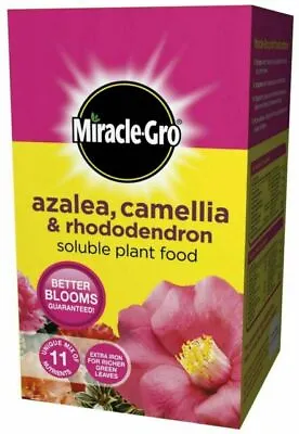 Miracle-Gro Azalea Camellia & Rhododendron Soluble Ericaceous Plant Food - 500g • £6.30