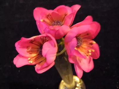 Vintage Millinery Flower 1 Rich Fuschia Anemone 3pc KP4 • $4.50