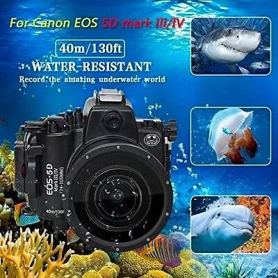 Sea Frogs Underwater Housing For Canon EOS 5D Mark III/IV 130ft/40m Underwater • £499.99