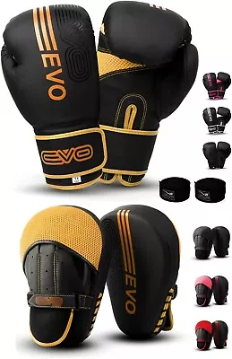 Boxing Gloves And Focus Pads Set Hook & Jabs Mitts Punch Bag Gym Training MMA • $76.99