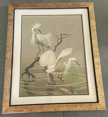 SNOWY EGRET Roger Tory Peterson Vintage  Lithograph 34”x27” Framed • $199.95