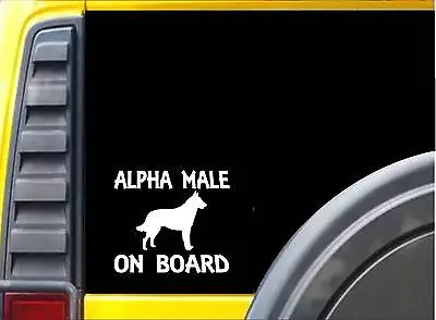 Alpha Male Belgian Malinois K250 6 Inch Sticker Schutzhund Dog Training Decal • $4.24