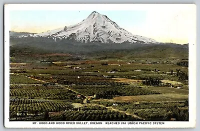 Oregon - Mt. Hood & Hood River Valley - Landscape - Vintage Postcard - Unposted • $4.67