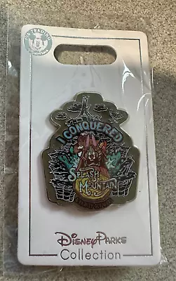 Disney Pin I Conquered And Brer'ly Got Wet Splash Mountain Br'er Rabbit • $13.49